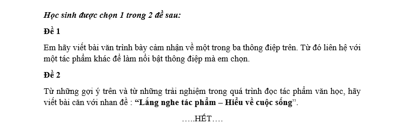 Đề thi tuyển sinh lớp 10 môn Văn 2020 TPHCM_4