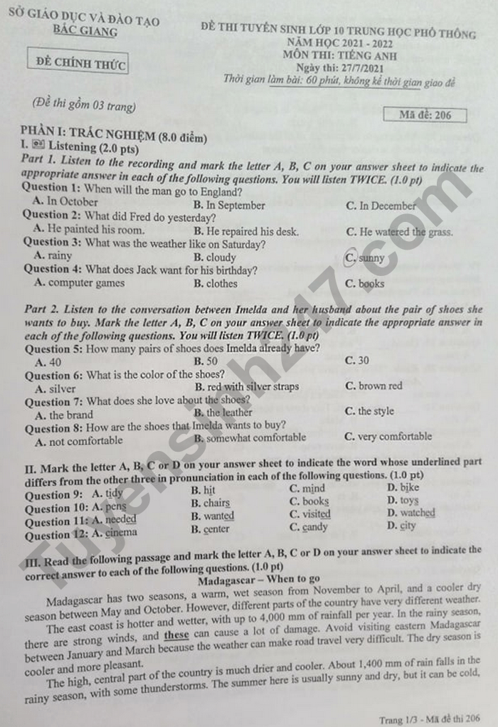 Đề thi vào lớp 10 môn Anh tỉnh Bắc Giang 2021 - Mã đề 206-1