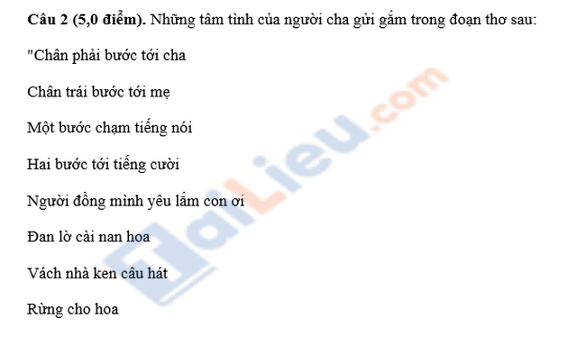 Đề thi thử vào lớp 10 môn văn trường THCS Lê Ninh 2021-2