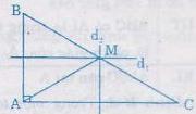 Giải bài tập SGK Toán lớp 7 bài 8: Tính chất ba đường trung trực của tam giác