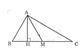 Giải bài tập SGK Toán lớp 8 bài 3: Diện tích tam giác