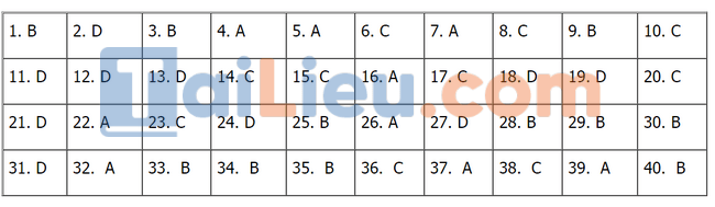 Đáp án đề thi THPTQG 2021 môn Địa - Mã đề 313