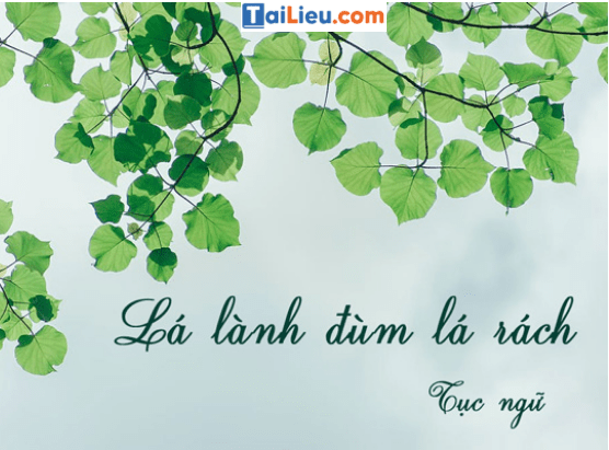 Dàn ý chứng minh câu tục ngữ Lá lành đùm lá rách