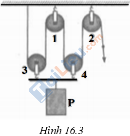 Giải sách bài tập Vật lý 6 Bài 16: Ròng rọc (4)