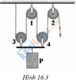 Giải sách bài tập Vật lý 6 Bài 16: Ròng rọc (10)