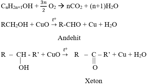 ly-thuyet-luyen-tap-ancol-phenol-2