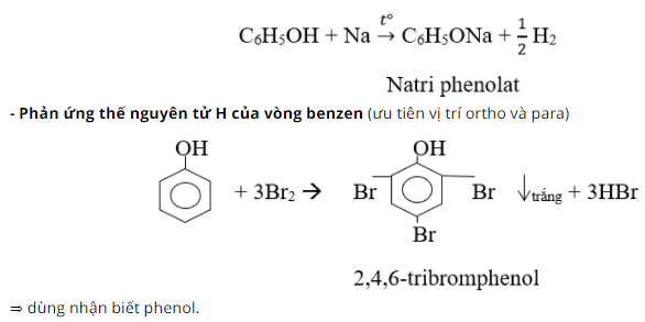 ly-thuyet-luyen-tap-ancol-phenol-5