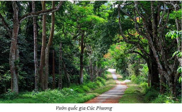 Lý thuyết Địa Lí 8 Bài 37: Đặc điểm sinh vật Việt Nam hay, chi tiết 