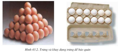 Lý thuyết Công nghệ 10 Bài 43: Bảo quản thịt, trứng, sữa và cá hay, ngắn gọn | Lý thuyết Công nghệ 10 đầy đủ nhất