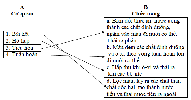 Giải Vở bài tập Khoa học lớp 4 bài 3