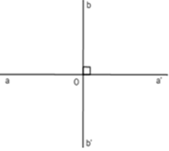 Trắc nghiệm Hai đường thẳng vuông góc