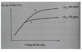 Bài tập trắc nghiệm Sinh học 11 | Câu hỏi trắc nghiệm Sinh học 11 có đáp án