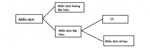 trắc nghiệm sinh học 10