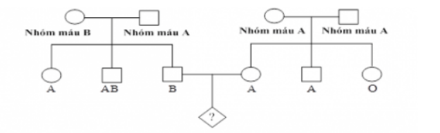 Trắc nghiệm sinh 9