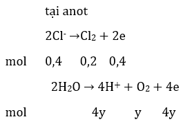 Bài tập trắc nghiệm Hóa 12 | Câu hỏi trắc nghiệm Hóa 12