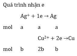 Bài tập trắc nghiệm Hóa 12 | Câu hỏi trắc nghiệm Hóa 12