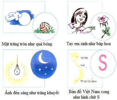 Giải vở bài tập Tiếng Việt 3 tuần 15: Luyện từ và câu