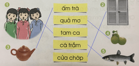 [Cánh điều] Giải Tiếng Việt 1 tập 1 bài: Ôn tập giữa học kì I