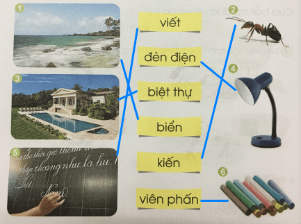 [Cánh điều] Giải Tiếng Việt 1 tập 1 bài 65: iên, iêt