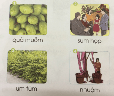 [Cánh điều] Giải Tiếng Việt 1 tập 1 bài 53: uôm
