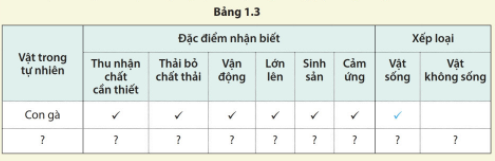 Bảng 1.3 trang 11 SGK KHTN 6 - Cánh Diều