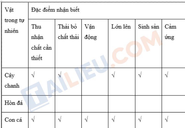 Lời giải bảng 1.3 trang 11 SGK KHTN 6 - Cánh Diều