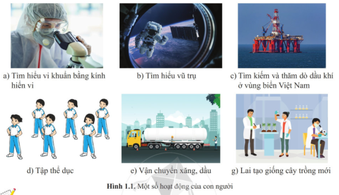 Hình 1.1 trang 5 SGK KHTN 6 - Cánh Diều