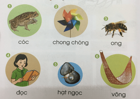 [Cánh điều] Giải Tiếng Việt 1 tập 1 bài 84: ong, oc