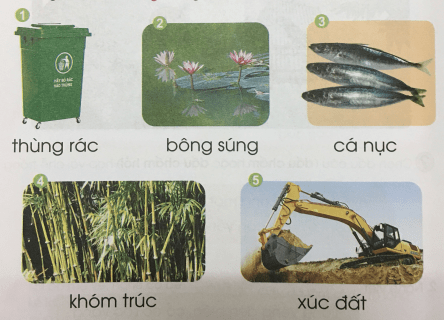 [Cánh điều] Giải Tiếng Việt 1 tập 1 bài 88: ung, uc