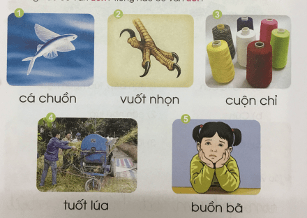 [Cánh điều] Giải Tiếng Việt 1 tập 1 bài 73: uôn, uôt