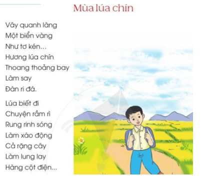 Viết trang 32 - 33 Tiếng Việt lớp 2 Tập 2 | Cánh diều