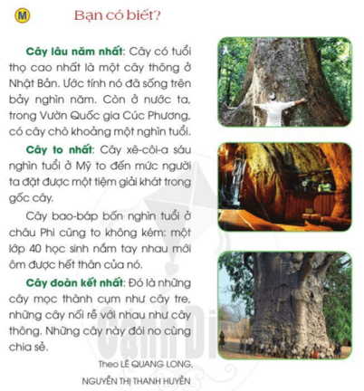Tự đọc sách báo trang 28 - 29 Tiếng Việt lớp 2 Tập 2 | Cánh diều