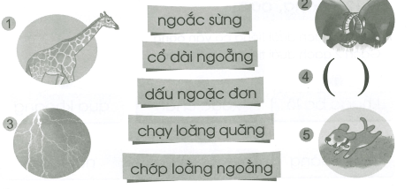 Vở bài tập Tiếng Việt lớp 1 trang 24, 25 Bài 130: oăng, oăc | Cánh diều