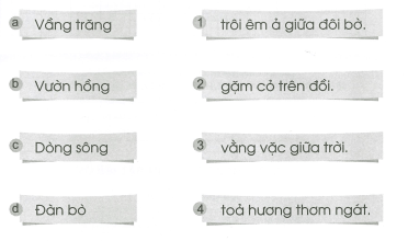 Vở bài tập Tiếng Việt lớp 1 trang 55, 56 Ôn tập cuối năm | Cánh diều