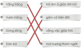 Vở bài tập Tiếng Việt lớp 1 trang 55, 56 Ôn tập cuối năm | Cánh diều