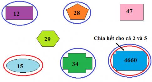 Giải SGK Toán lớp 4 VNEN bài 54 1