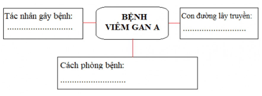 Khoa học 5 Bài 8: Phòng bệnh viêm gan a | Giải Khoa học lớp 5 VNEN hay nhất