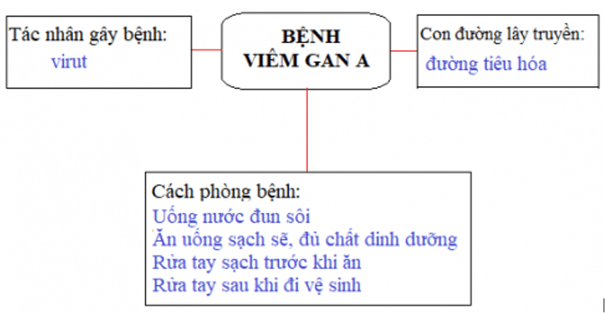 Khoa học 5 Bài 8: Phòng bệnh viêm gan a | Giải Khoa học lớp 5 VNEN hay nhất