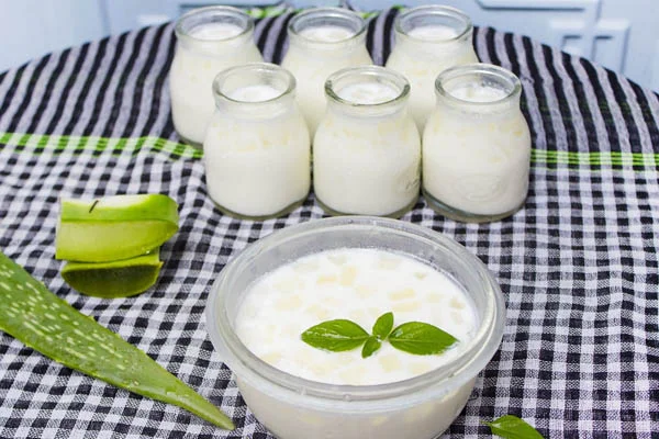 Thành phẩm sữa chua nha đam sánh mịn và thơm mát Thành phẩm sữa chua nha đam sánh mịn và thơm mát