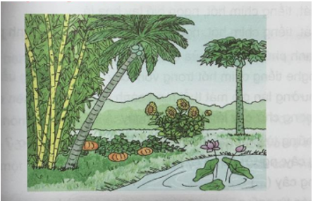 Tiếng Việt 3 VNEN Bài 31C: Trồng cây cho trái đất mãi xanh tươi | Soạn Tiếng Việt lớp 3 VNEN hay nhất