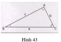 Giải Toán 9 VNEN Bài 5: Một số hệ thức về cạnh và góc trong tam giác vuông | Giải bài tập Toán 9 VNEN hay nhất