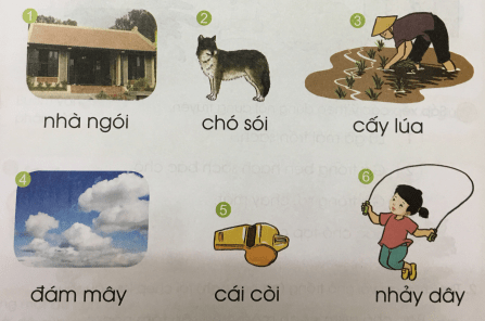 [Cánh điều] Giải Tiếng Việt 1 tập 2 bài 100: oi, ây