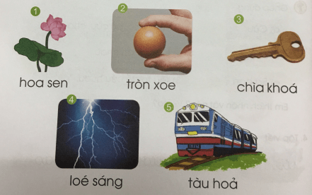 [Cánh điều] Giải Tiếng Việt 1 tập 2 bài 113: oa, oe
