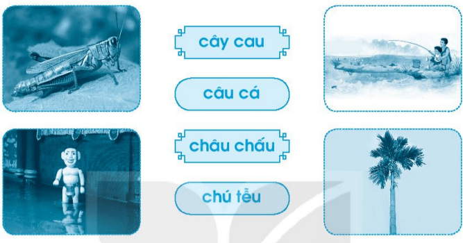 Giải VBT Tiếng Việt lớp 1 Tập 1 trang 40 Bài 43: au, âu, êu