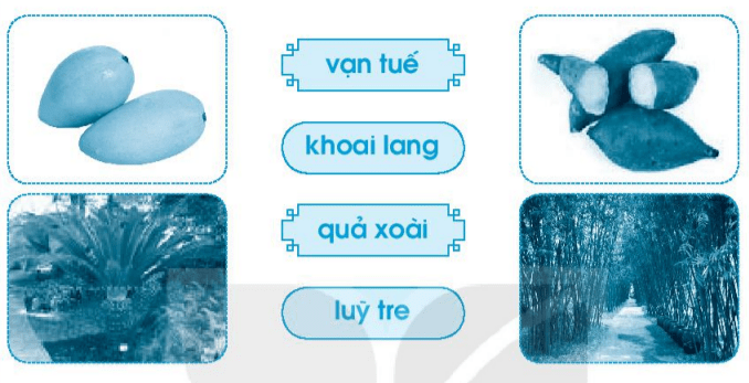 Giải VBT Tiếng Việt lớp 1 Tập 1 trang 67 Bài 77: oai, uê, uy