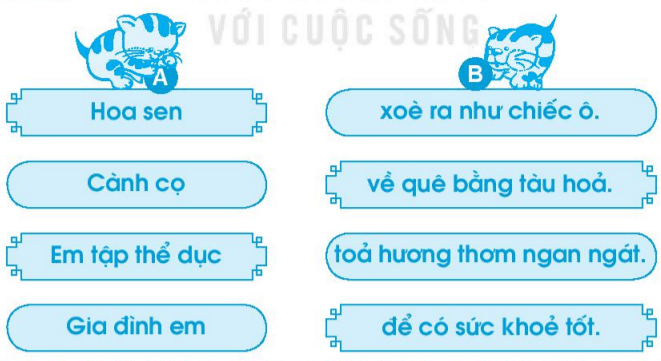 Giải VBT Tiếng Việt lớp 1 Tập 1 trang 65 Bài 74: oa, oe