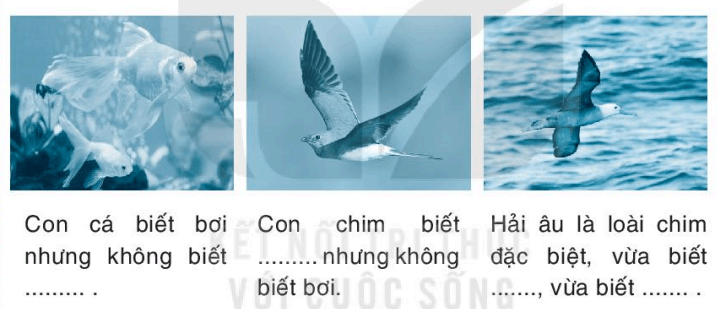 Giải VBT Tiếng Việt lớp 1 trang 44, 45 Loài chim của biển cả | Kết nối tri thức