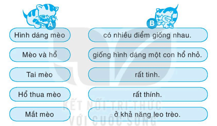 Giải VBT Tiếng Việt lớp 1 trang 47, 48 Chúa tể rừng xanh | Kết nối tri thức