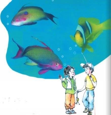 Giải bài tập Tự nhiên Xã hội lớp 1 Bài 25: Con cá