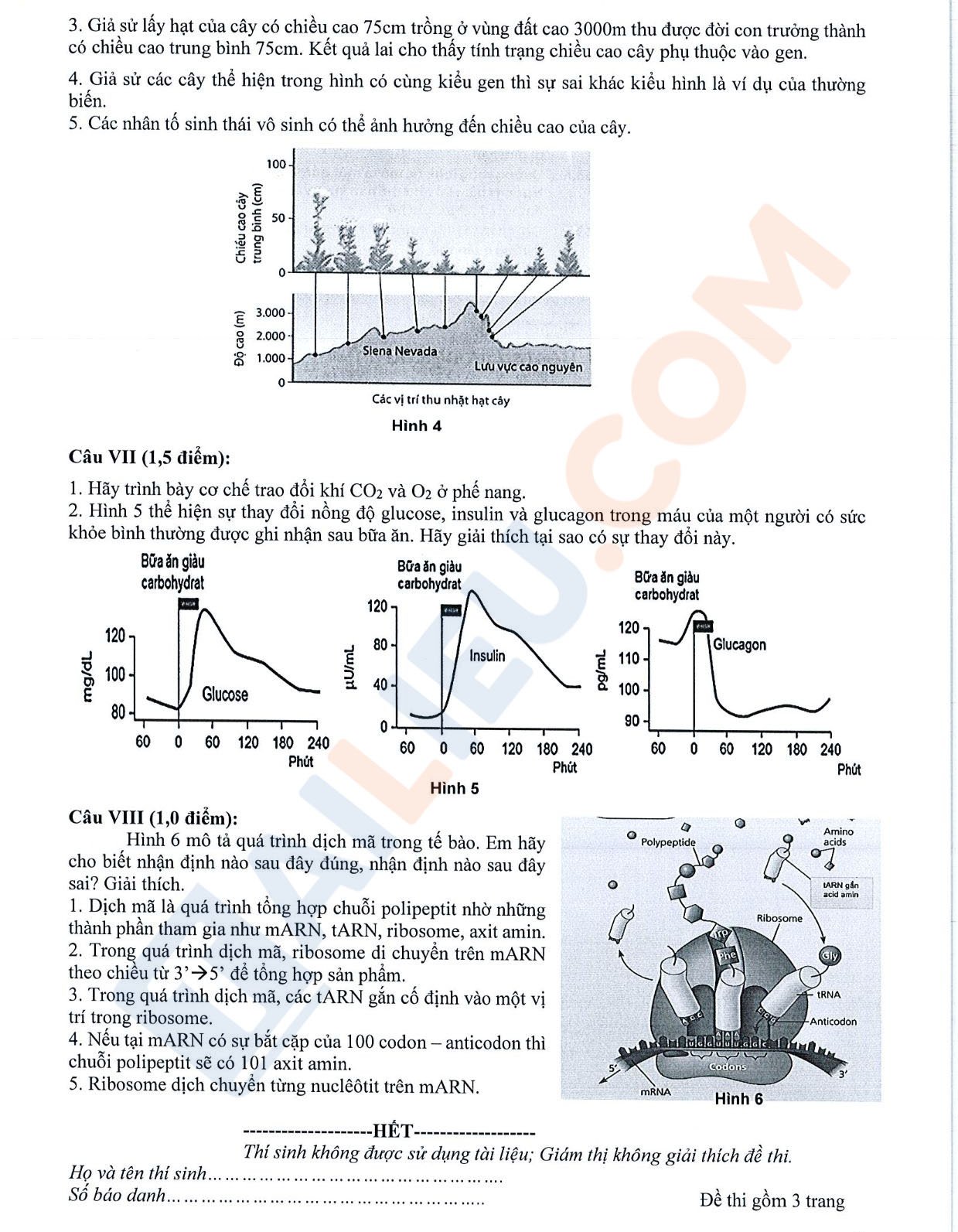 Đề thi tuyển sinh lớp 10 môn Sinh (chuyên) 2022 Phổ thông Năng khiếu TP HCM có đáp án